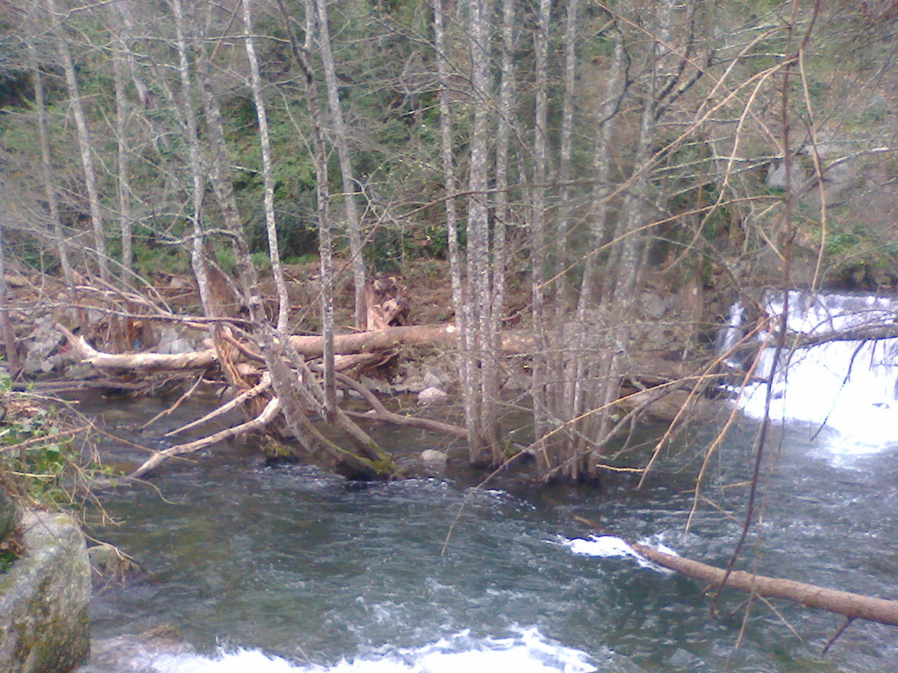 Rio Coja2 2016-02-06 Rio Coja2 2016-02-06