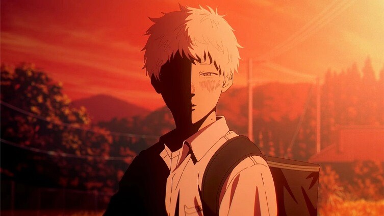 The Summer Hikaru Died 3.jpg