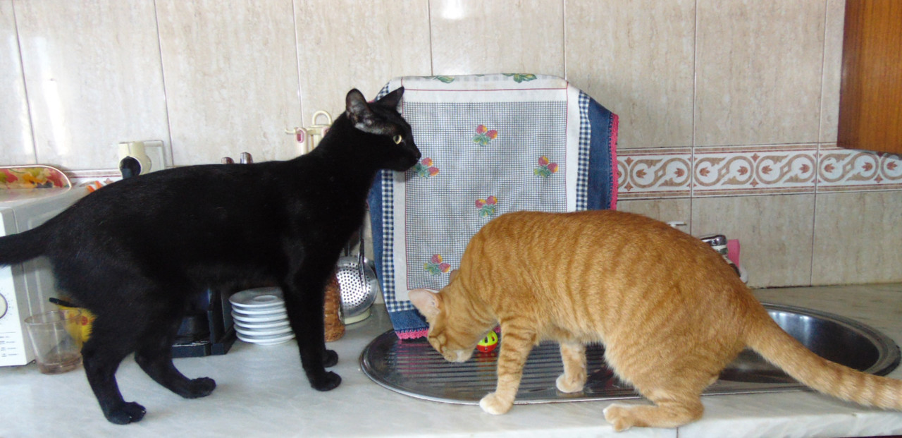 imzagem0325.JPG imzagem0325.JPG