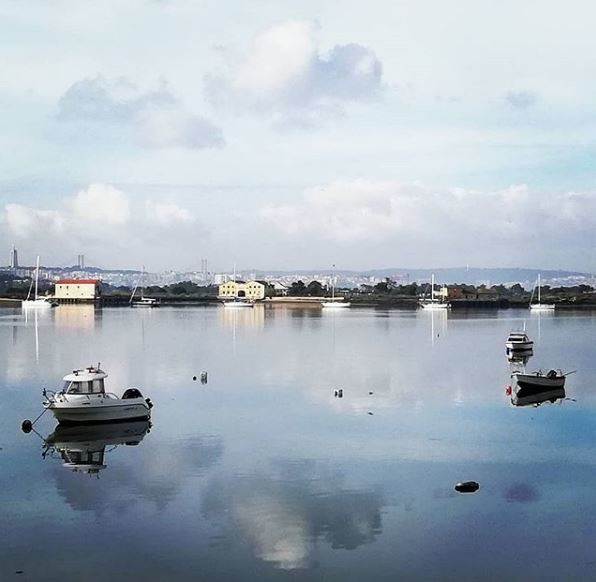 foto do ano.JPG foto do ano.JPG