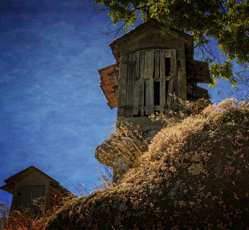 DSCF7195 - cópia.jpg