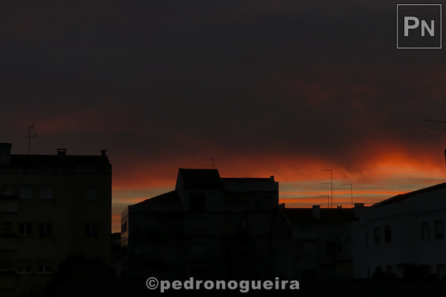 Fev_2019_041 650px.jpg