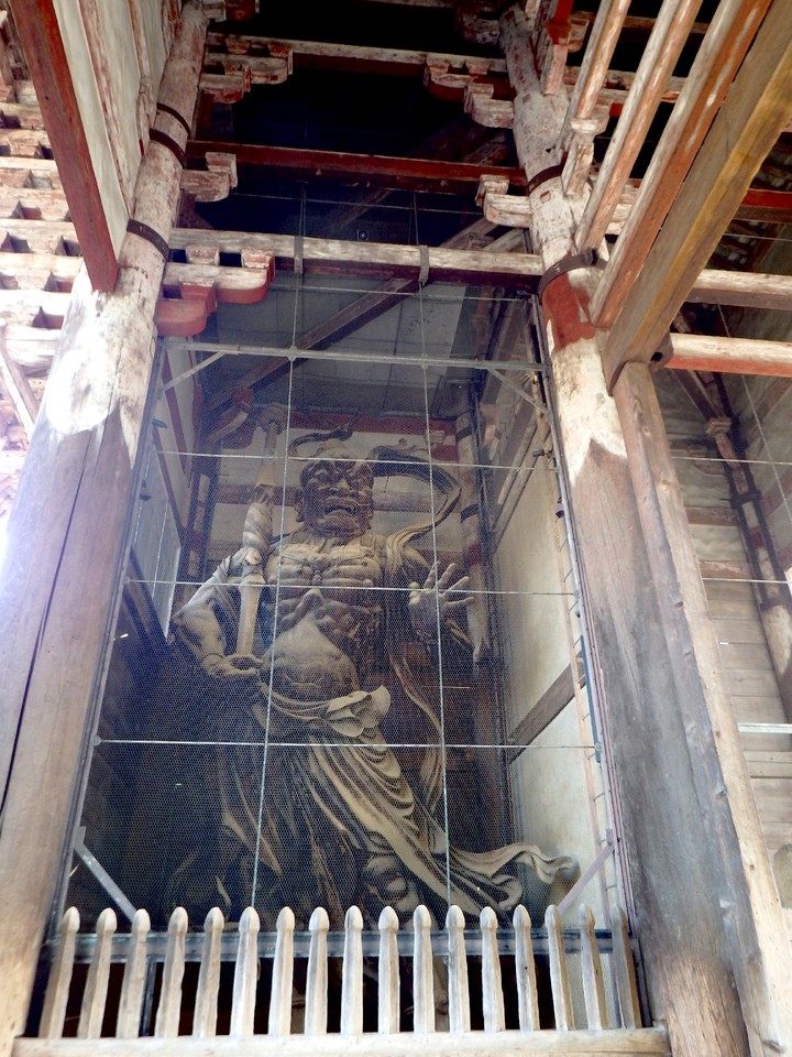 fullsizeoutput_177b.jpeg fullsizeoutput_177b.jpeg