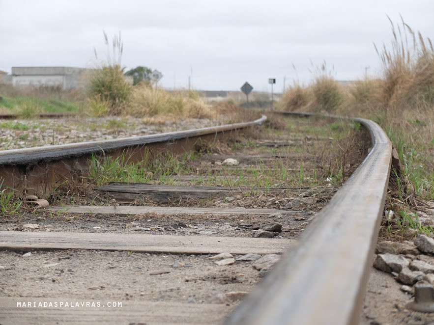 Caminhos de ferro - Foto Maria das Palavras