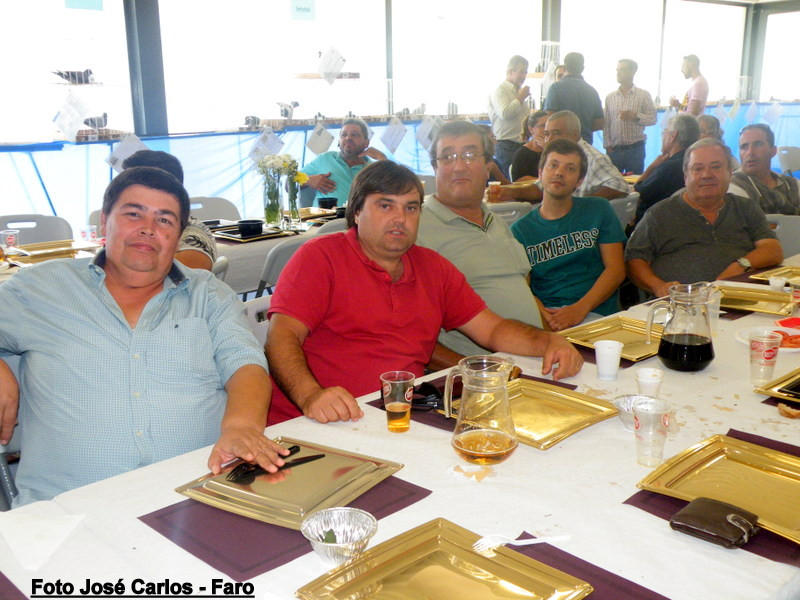 Leilão Serpa 2017 043.JPG