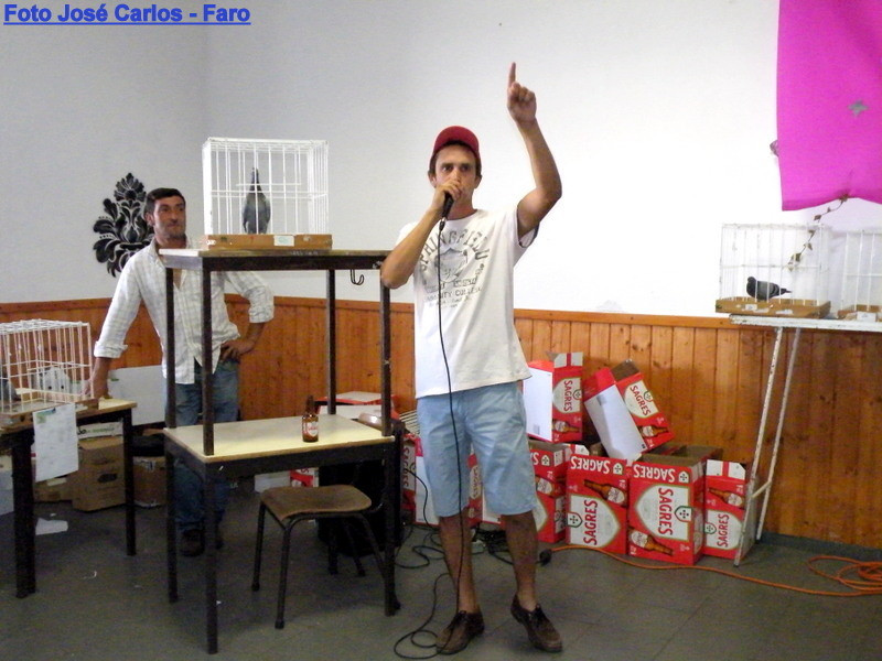 Leilão Ervidel 2017 029.JPG