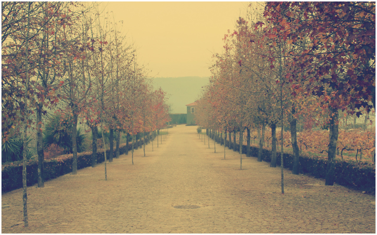 Monverde Wine Experience Hotel