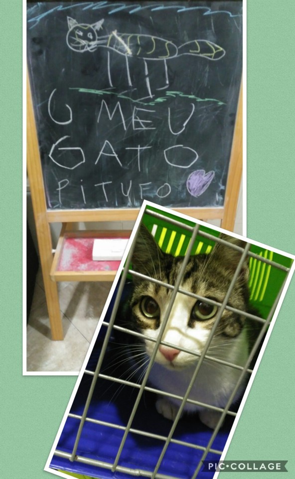 Collage 2018-01-19 23_11_45.jpg