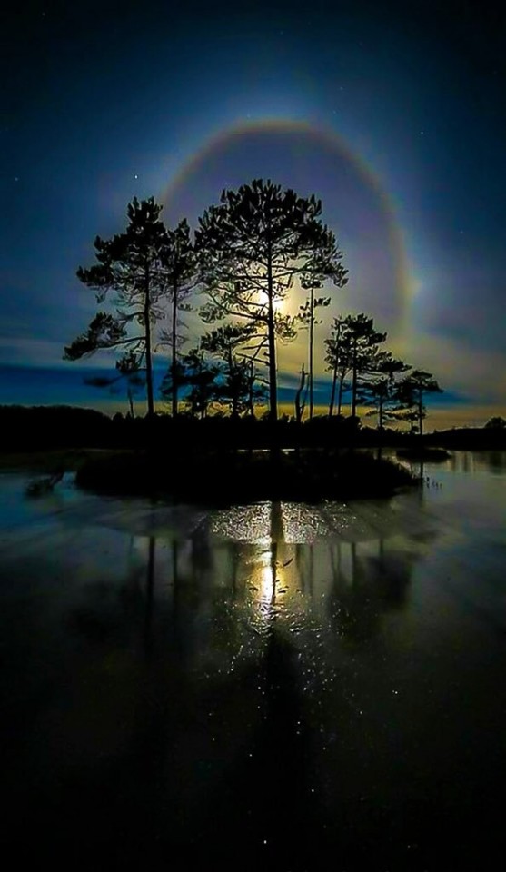 DYRwzaLXcAEpeJh.jpg DYRwzaLXcAEpeJh.jpg