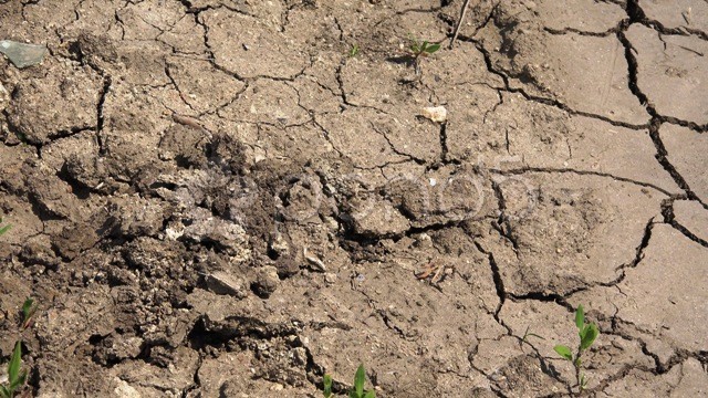 seca_agricult.jpeg seca_agricult.jpeg