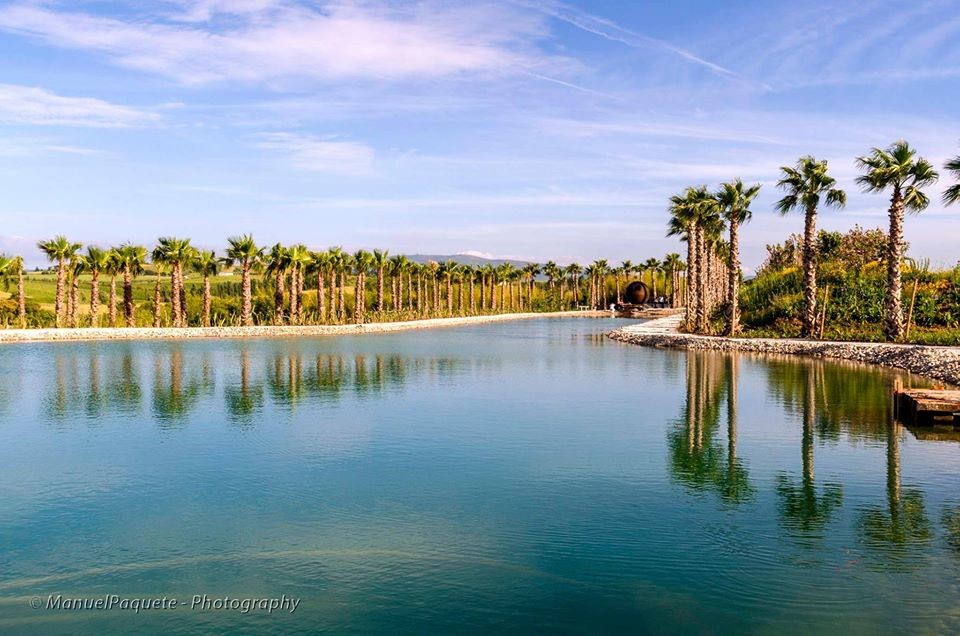 13416817_1770237286557443_5697425339165958115_o.jp