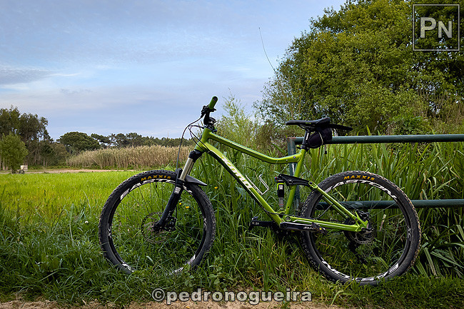 Abr_2021_043a 3_2 650px.jpg