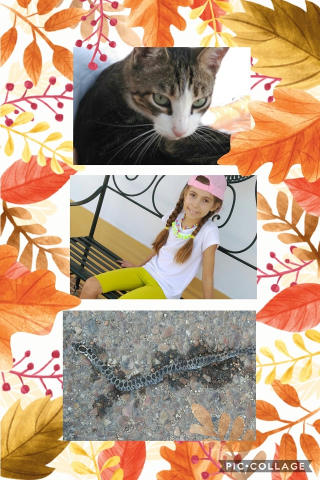 Collage 2018-10-09 14_50_37.jpg