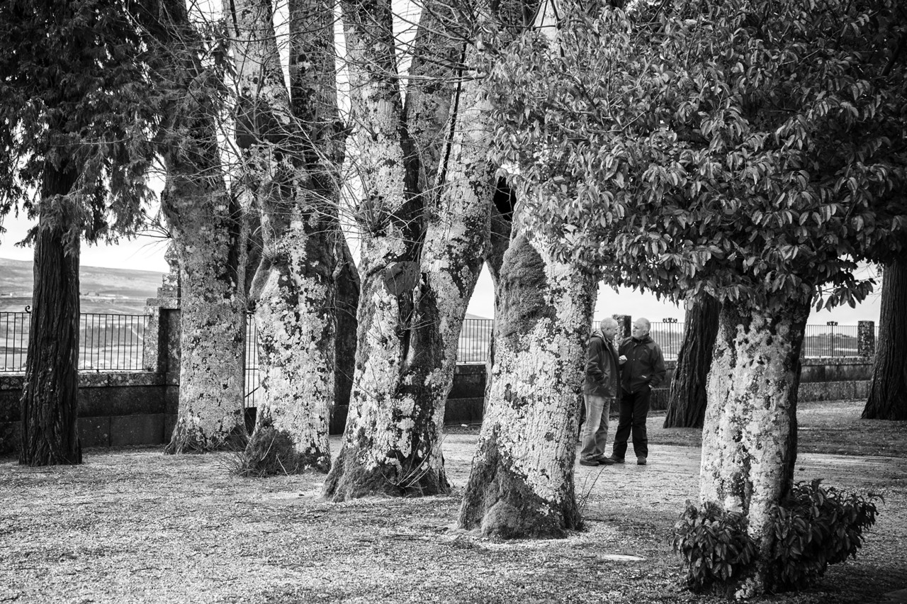 _JMD9693 - cópia copy.jpg