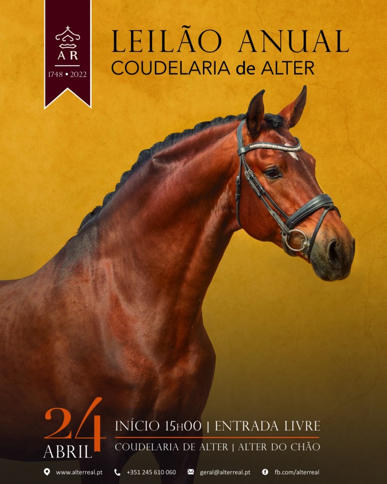 leilão alter.jpg