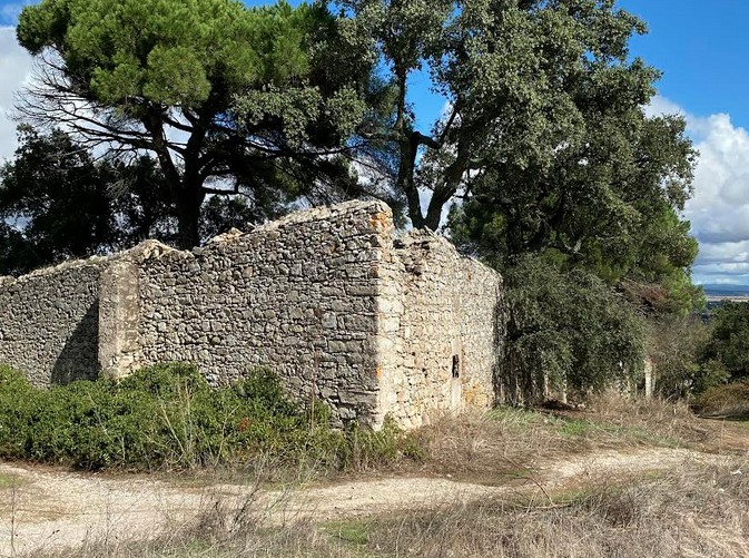 Screen Shot 2025-11-17 at 06.44.05.png