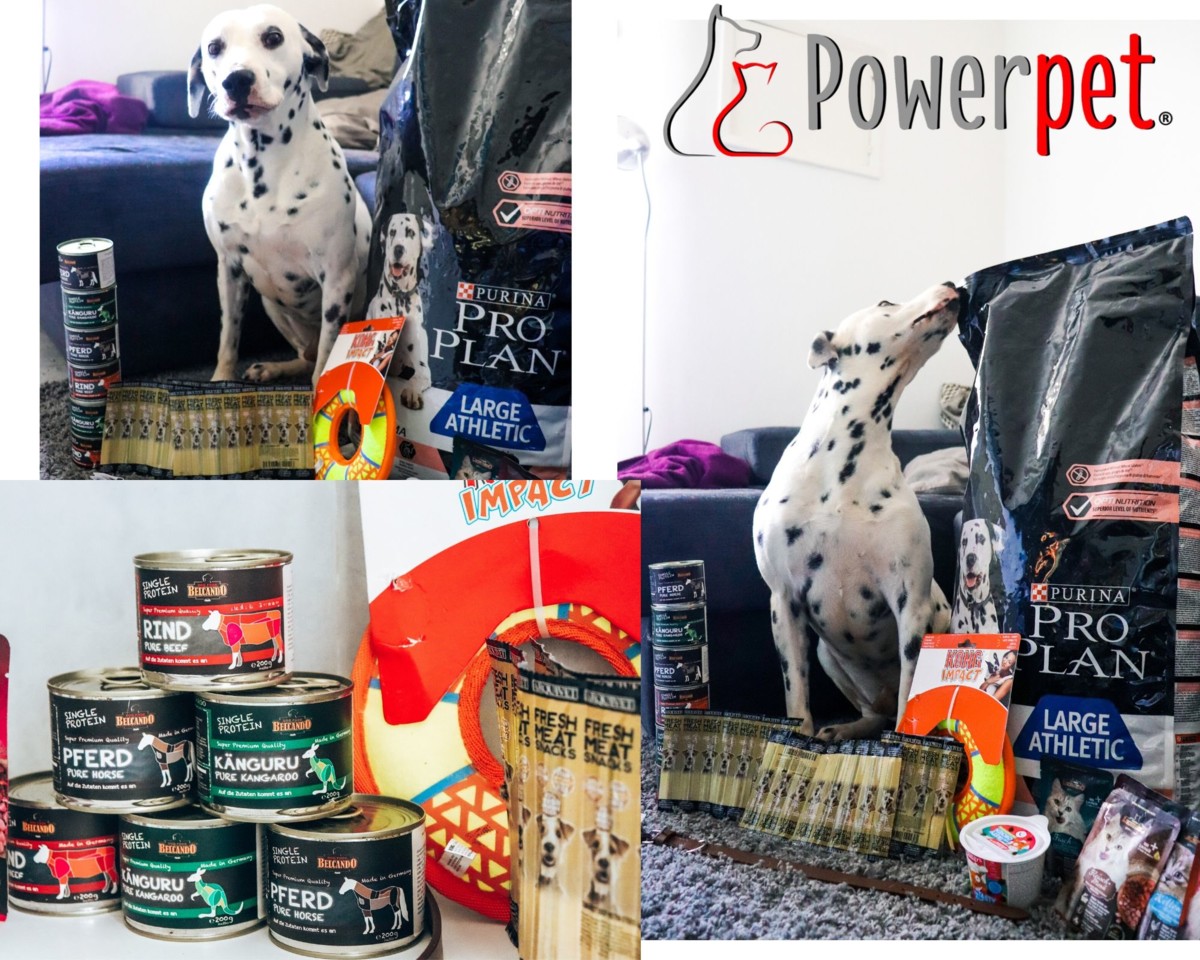 PowerpetDogs.jpg PowerpetDogs.jpg