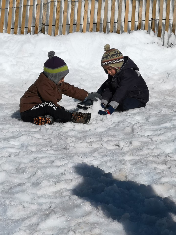 IMG_20190316_154910.jpg IMG_20190316_154910.jpg