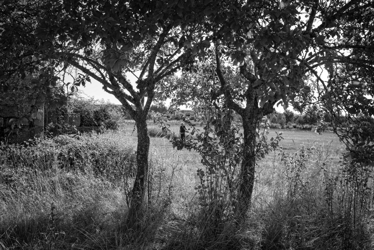 _JMF0475 - cópia copy.jpg