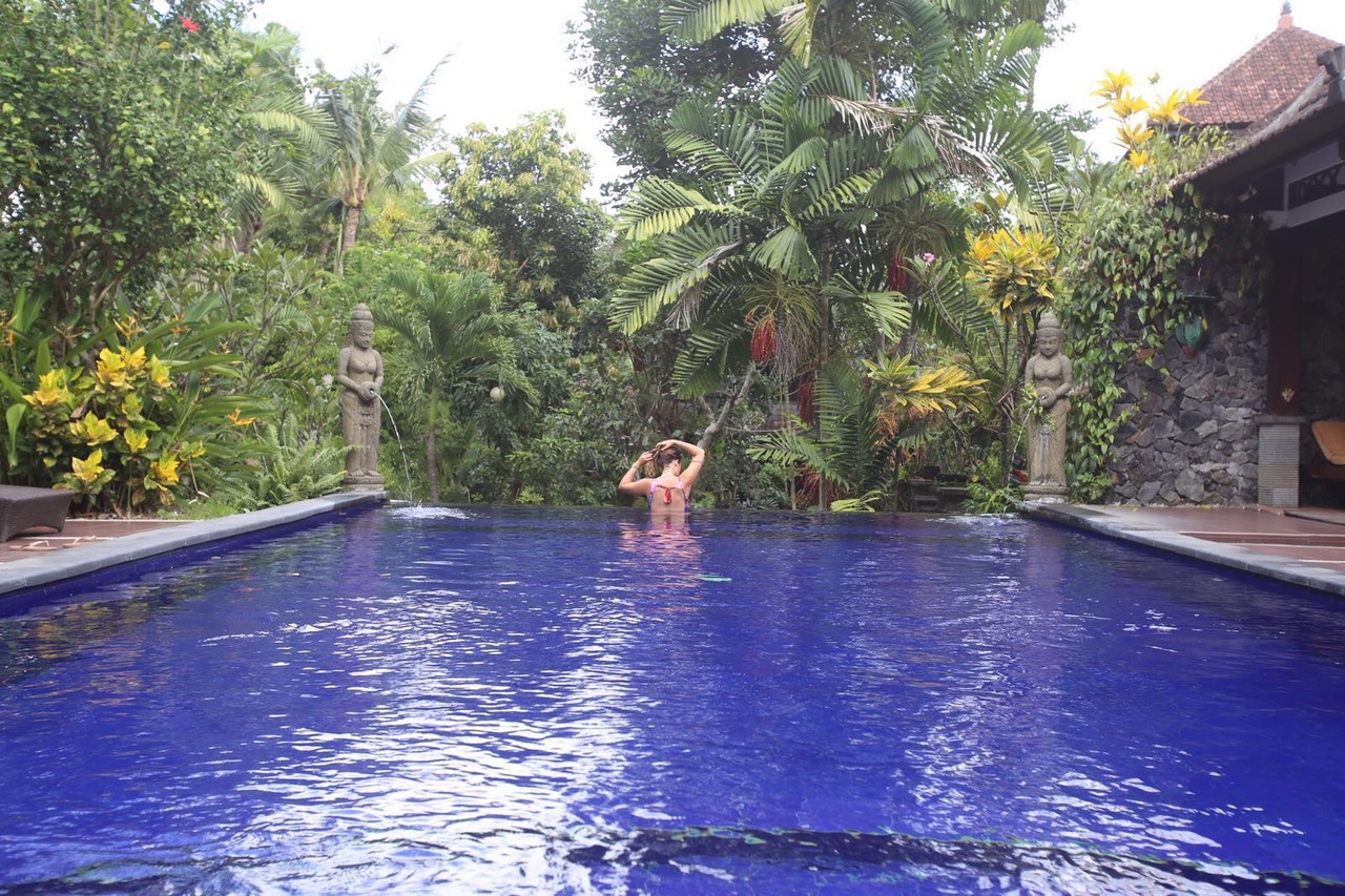 image.jpeg image.jpeg