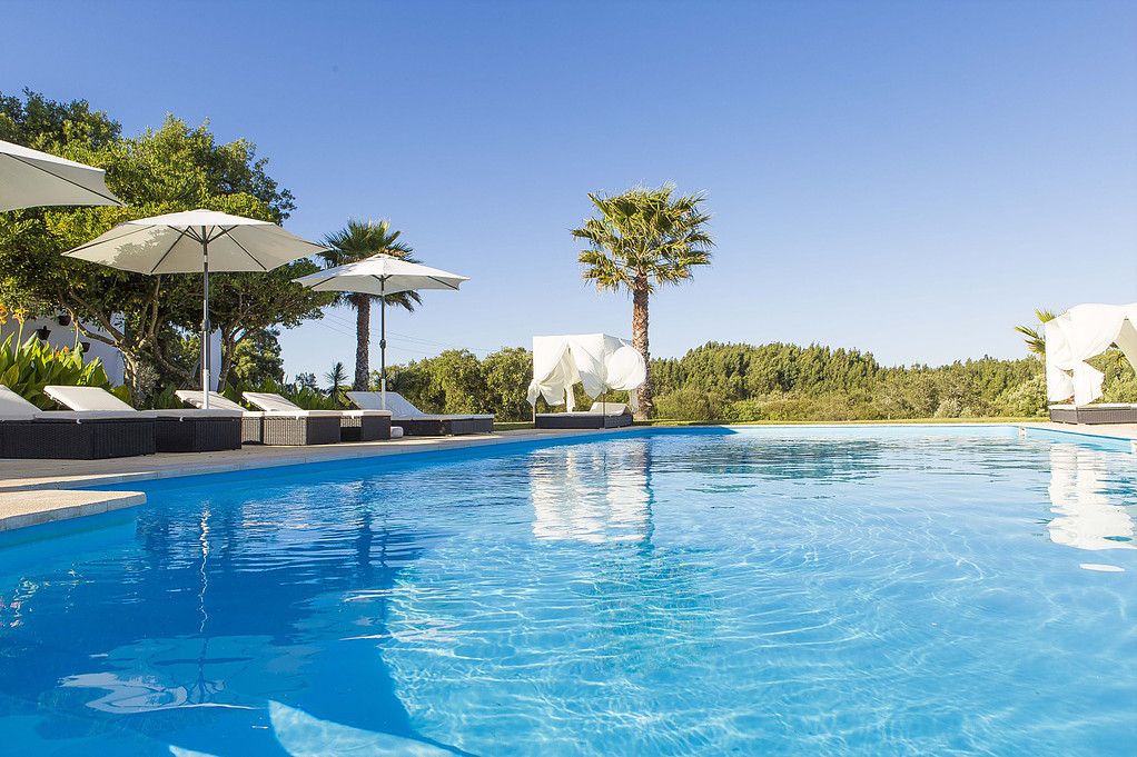 b56bbf_5458e1b3256d4ac581d2b7460ca38f76~mv2.jpg b56bbf_5458e1b3256d4ac581d2b7460ca38f76~mv2.jpg