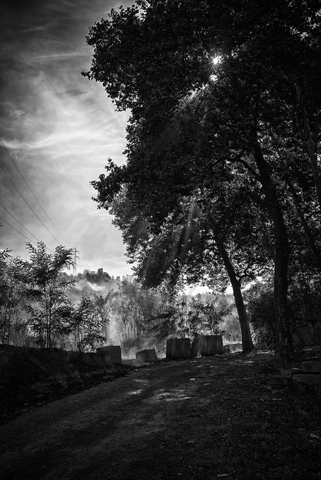 _JMF7125 - Cópia.jpg