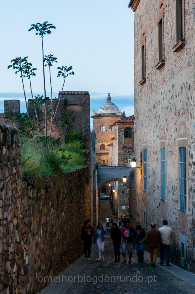 _DSC6198.jpg _DSC6198.jpg