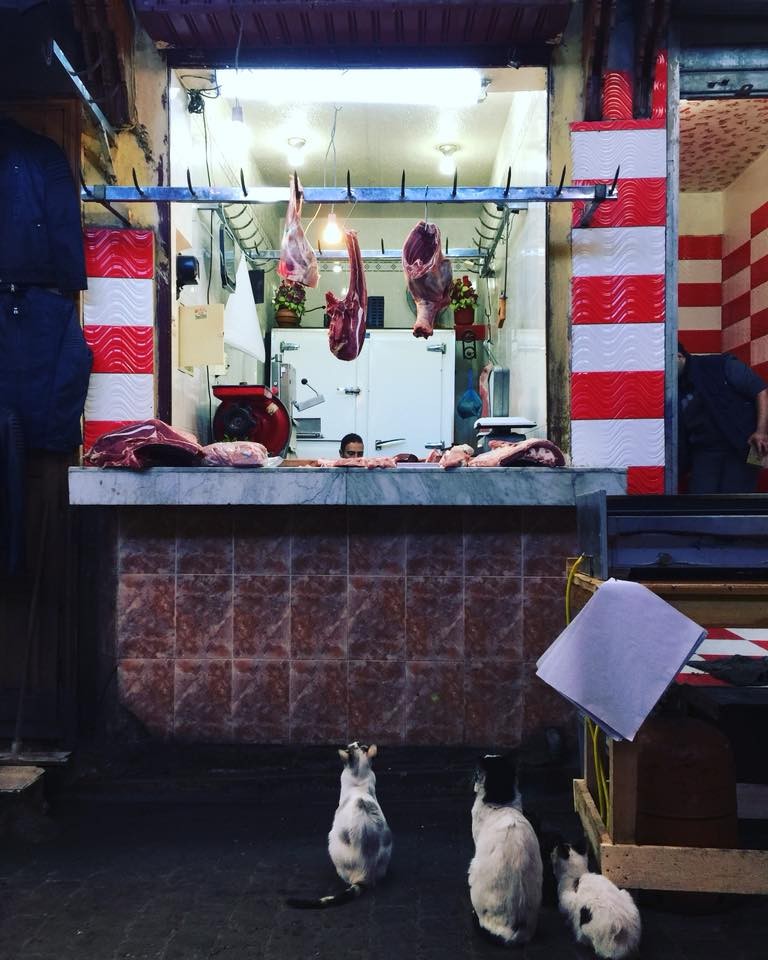 1982341_10216061190831670_1005457464419538940_n.jp