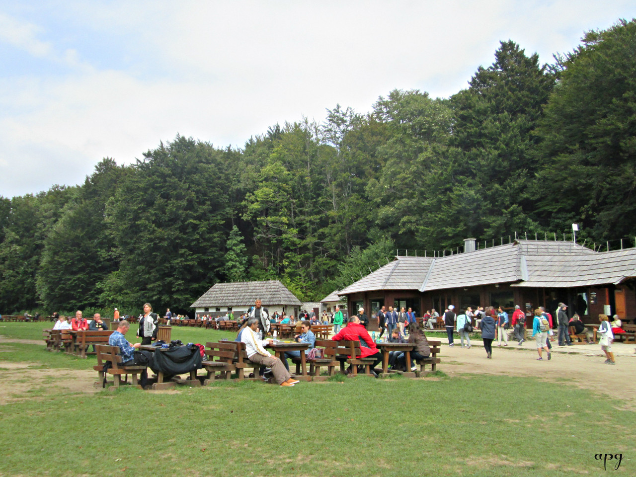 IMG_7074 cópia assin.jpg