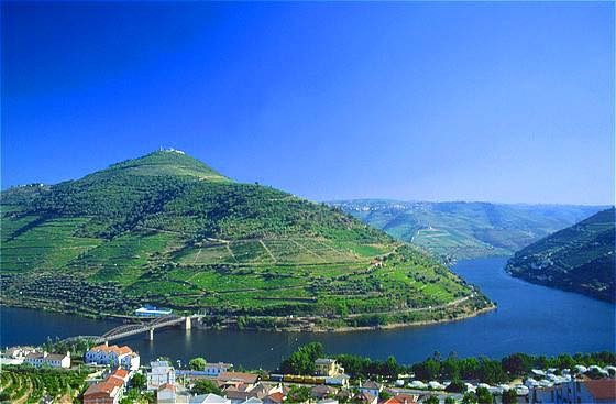 10599185_815126838609493_984225184358399382_n