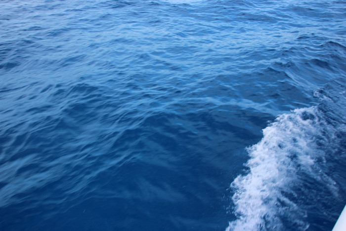 img_8647.jpg img_8647.jpg