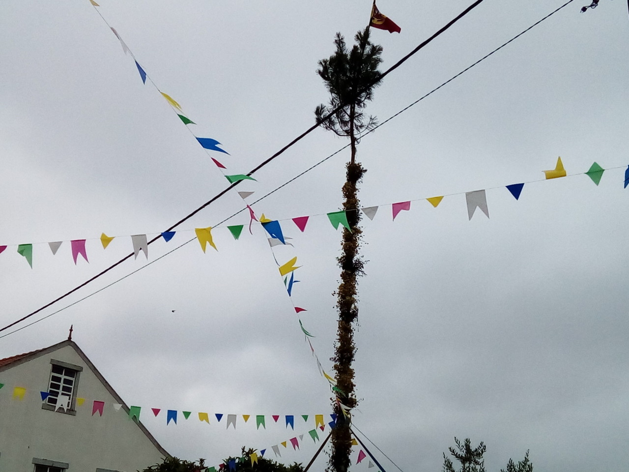 IMG_20180625_111825.jpg IMG_20180625_111825.jpg