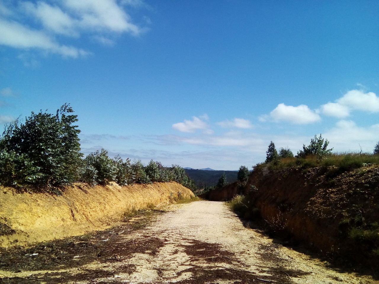 IMG_20180626_103654.jpg IMG_20180626_103654.jpg