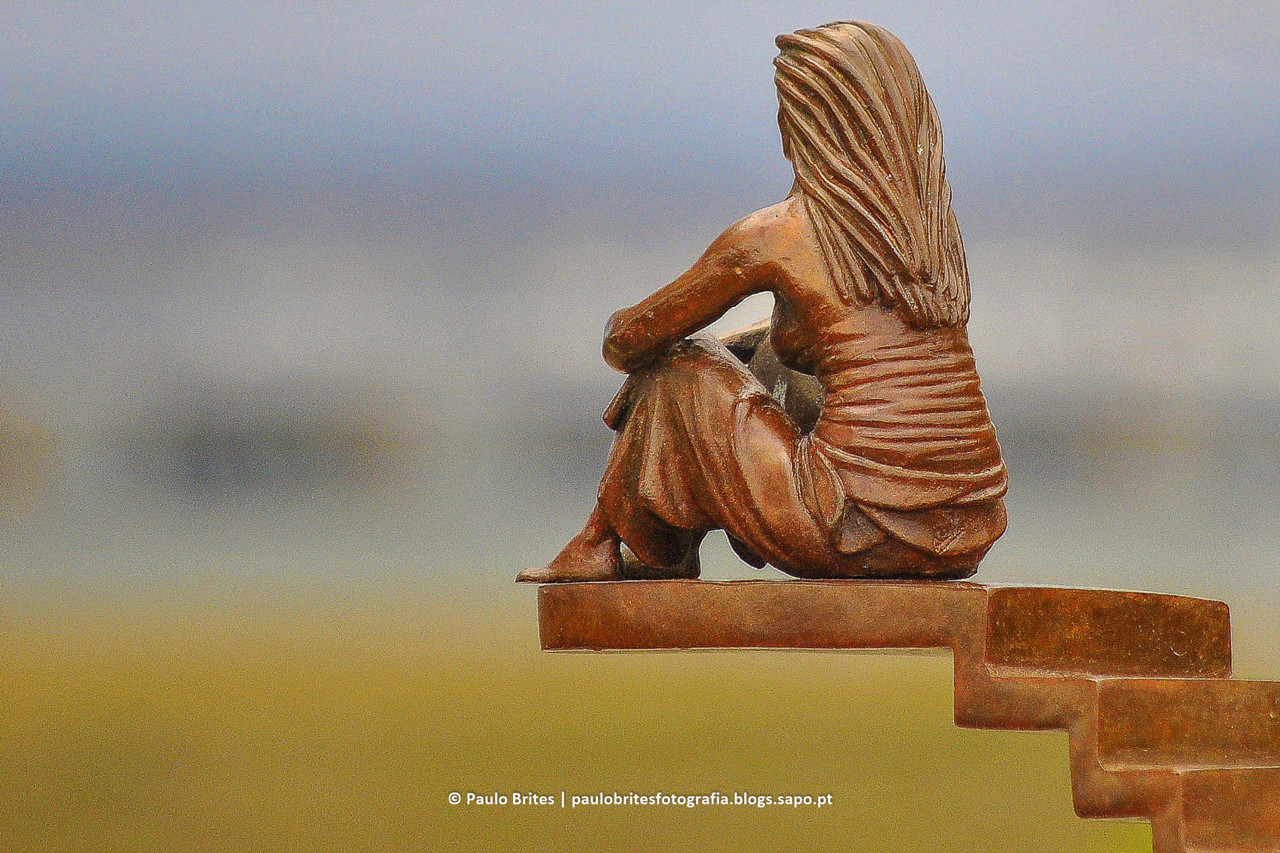 DSC_11376-1.jpg DSC_11376-1.jpg