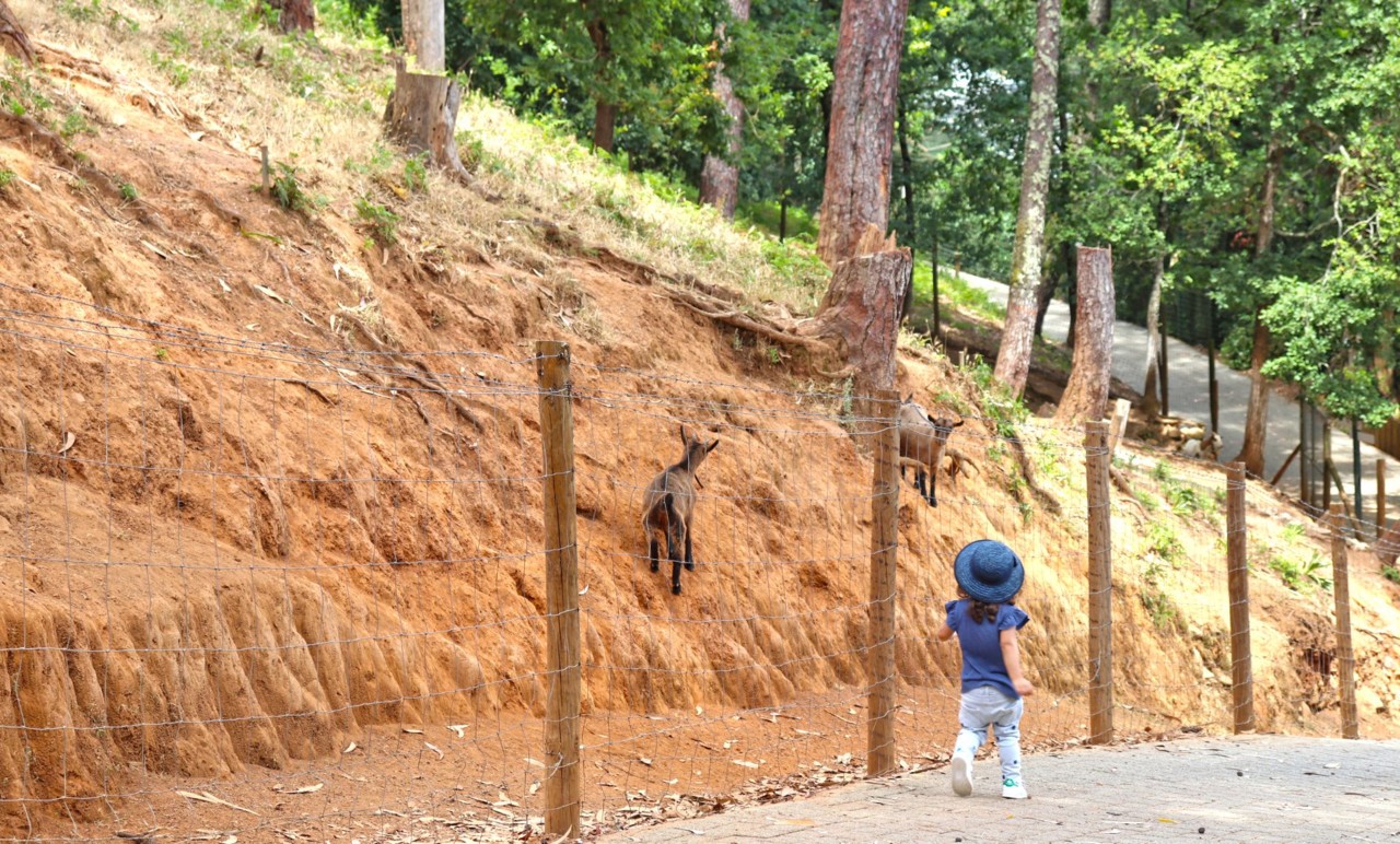 Parque Biológico da Serra da Lousã