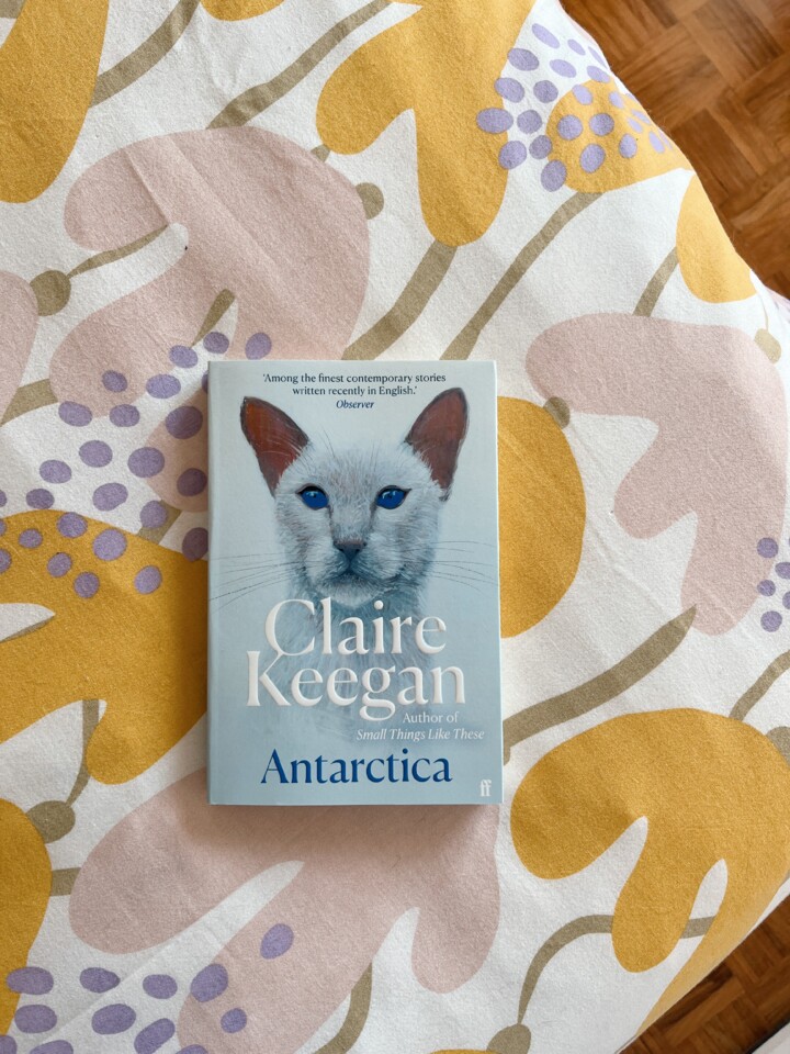 antarctica-claire-keegan.JPG