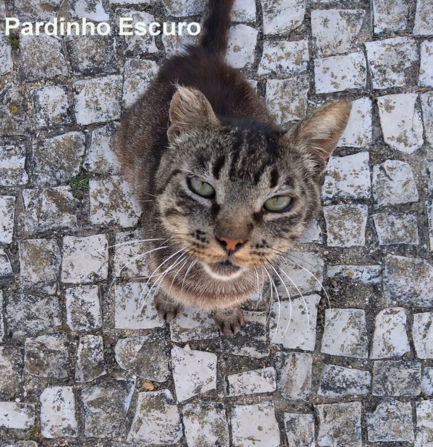 285815595_159814359871392_5799589439443105185_n.jp