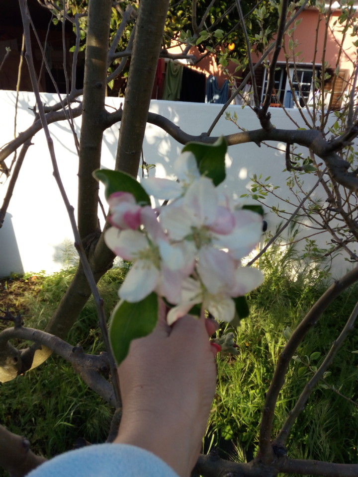 IMG_20180418_191136.jpg IMG_20180418_191136.jpg