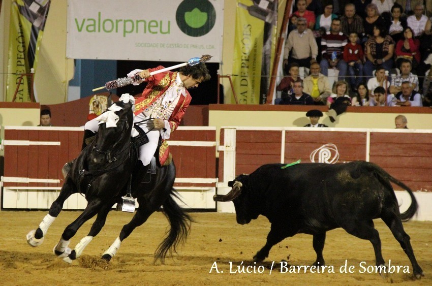 IMG_6881.JPG IMG_6881.JPG