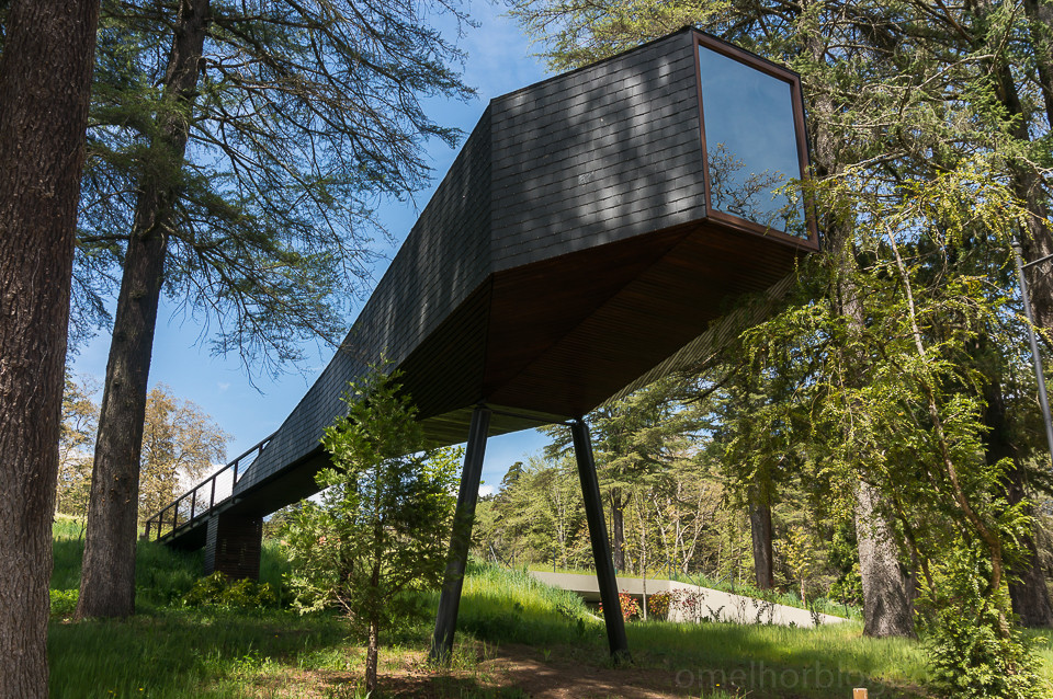 DSC02070.jpg DSC02070.jpg