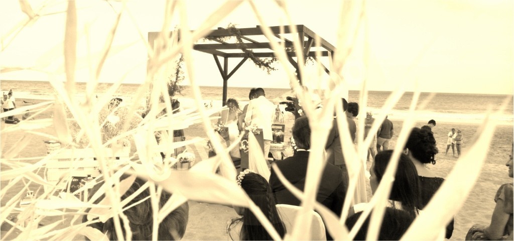 Festas de casamento.jpg Festas de casamento.jpg