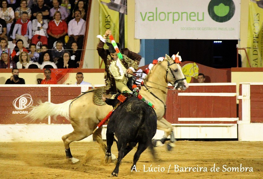 IMG_6802.JPG IMG_6802.JPG