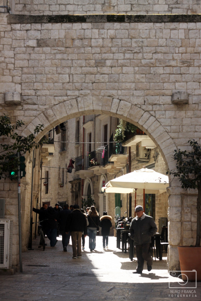 IMG_5740_net.jpg IMG_5740_net.jpg