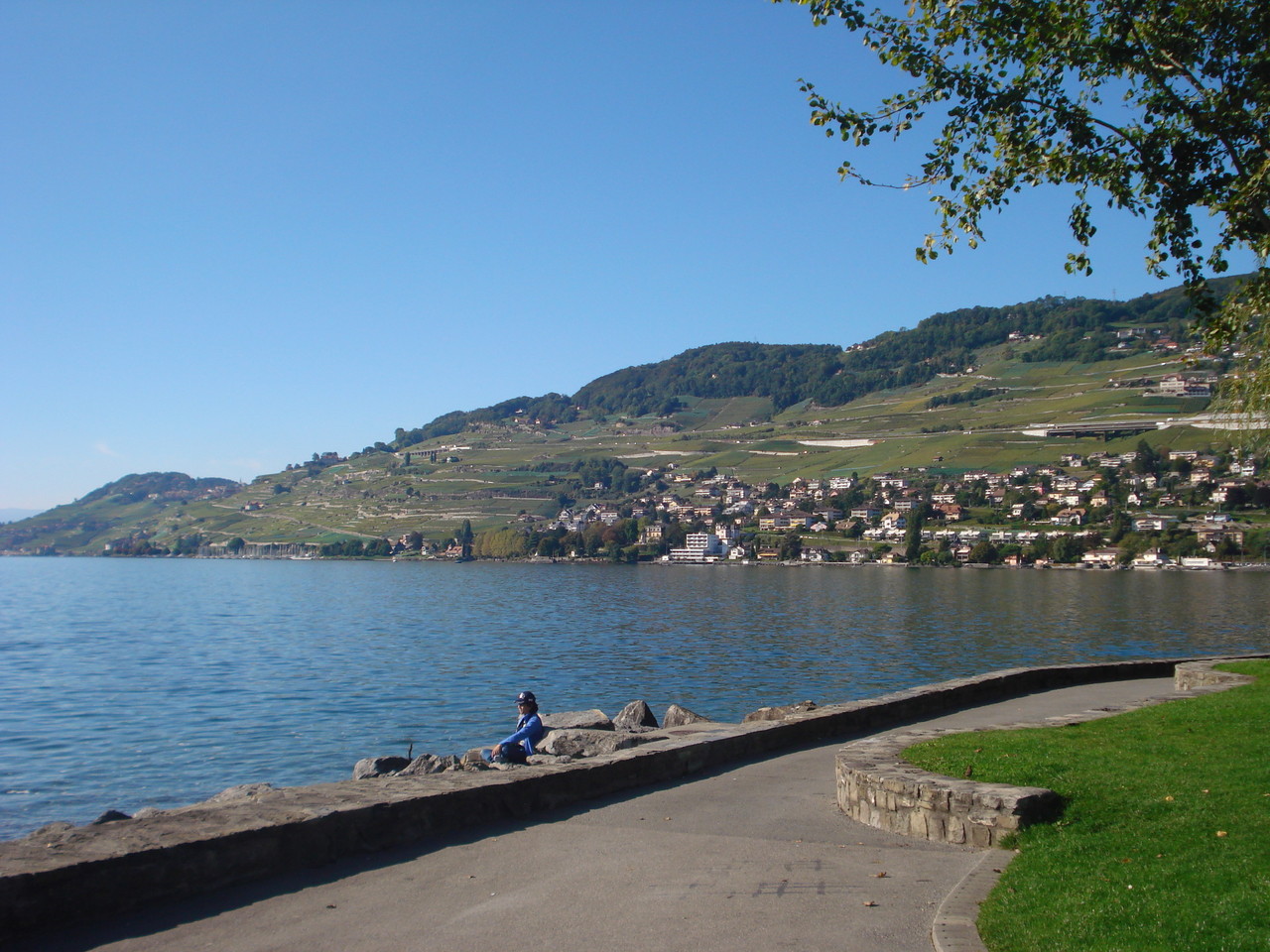 DSC09910.JPG DSC09910.JPG