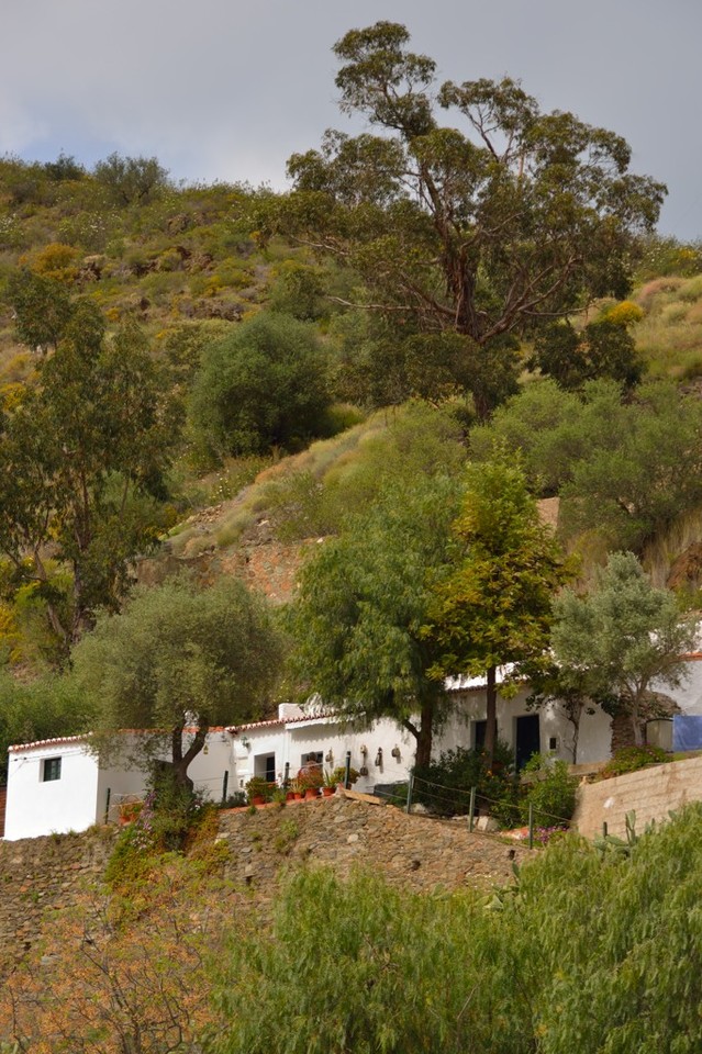 DSC_1405.jpg DSC_1405.jpg