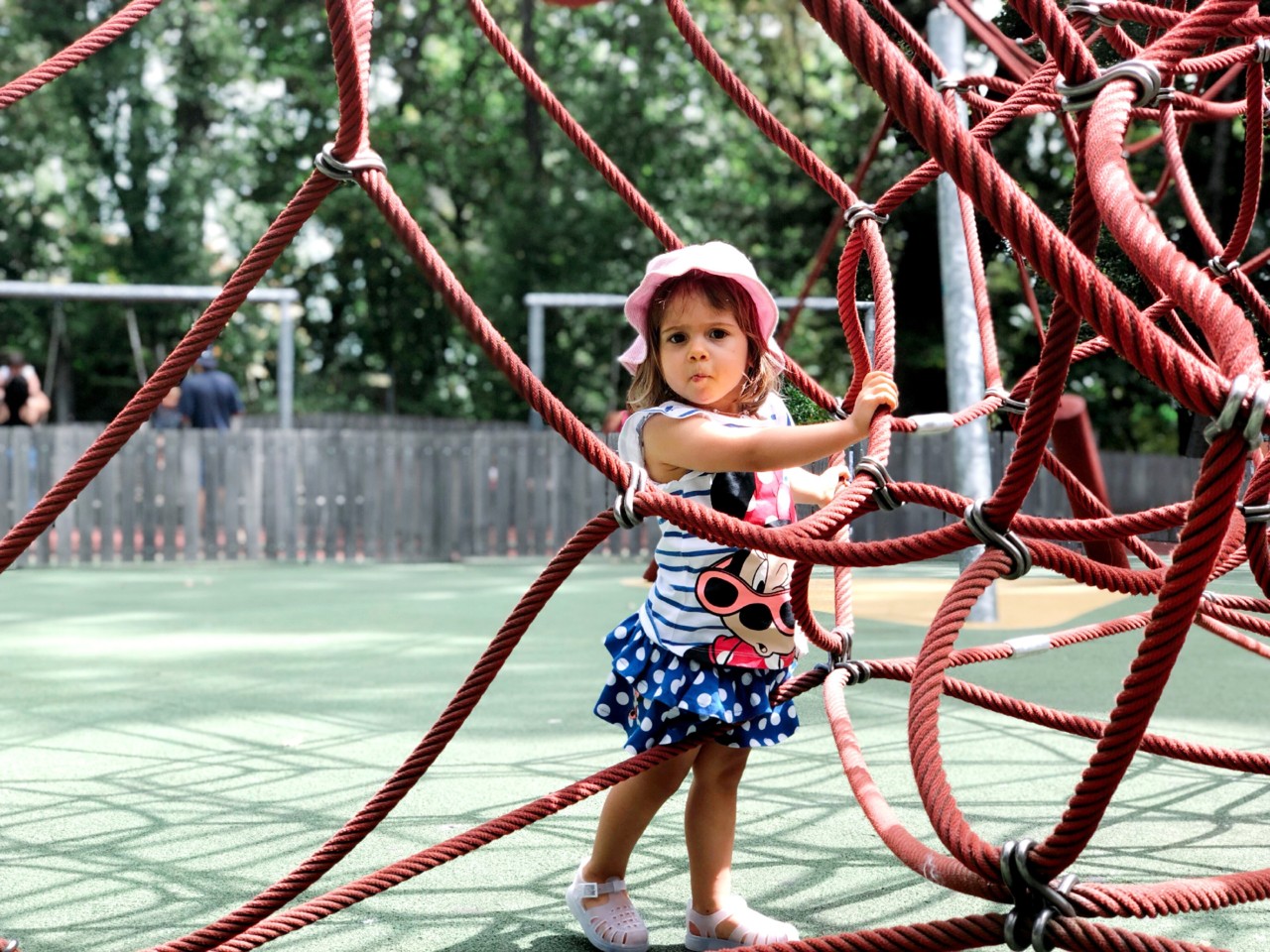 vacina da BCG vacina da BCG