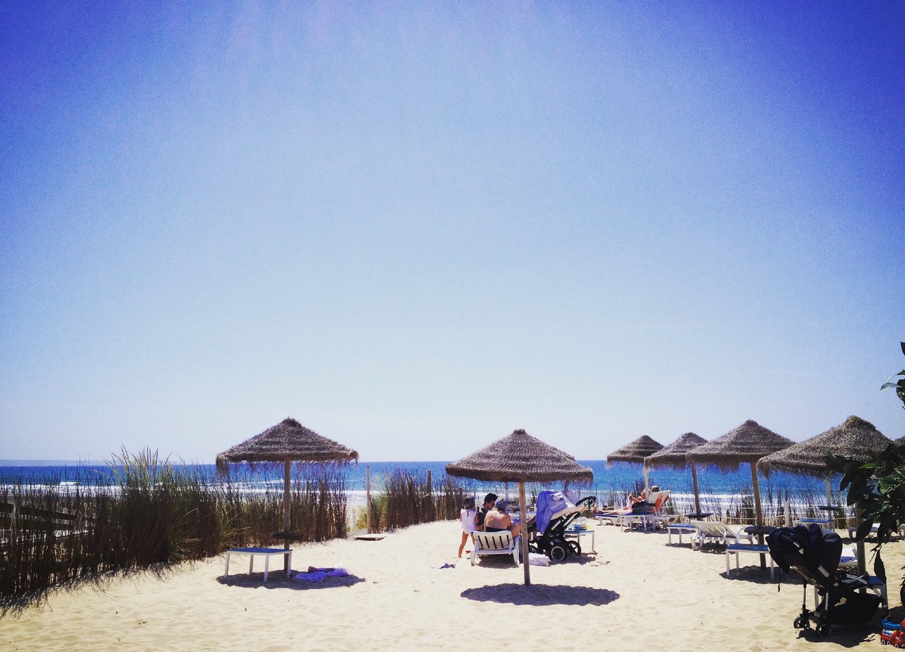 IMG_0220.JPG IMG_0220.JPG