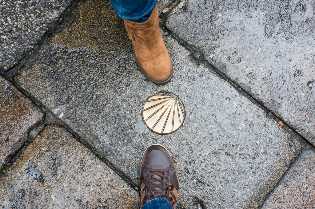 DSC03517.jpg DSC03517.jpg