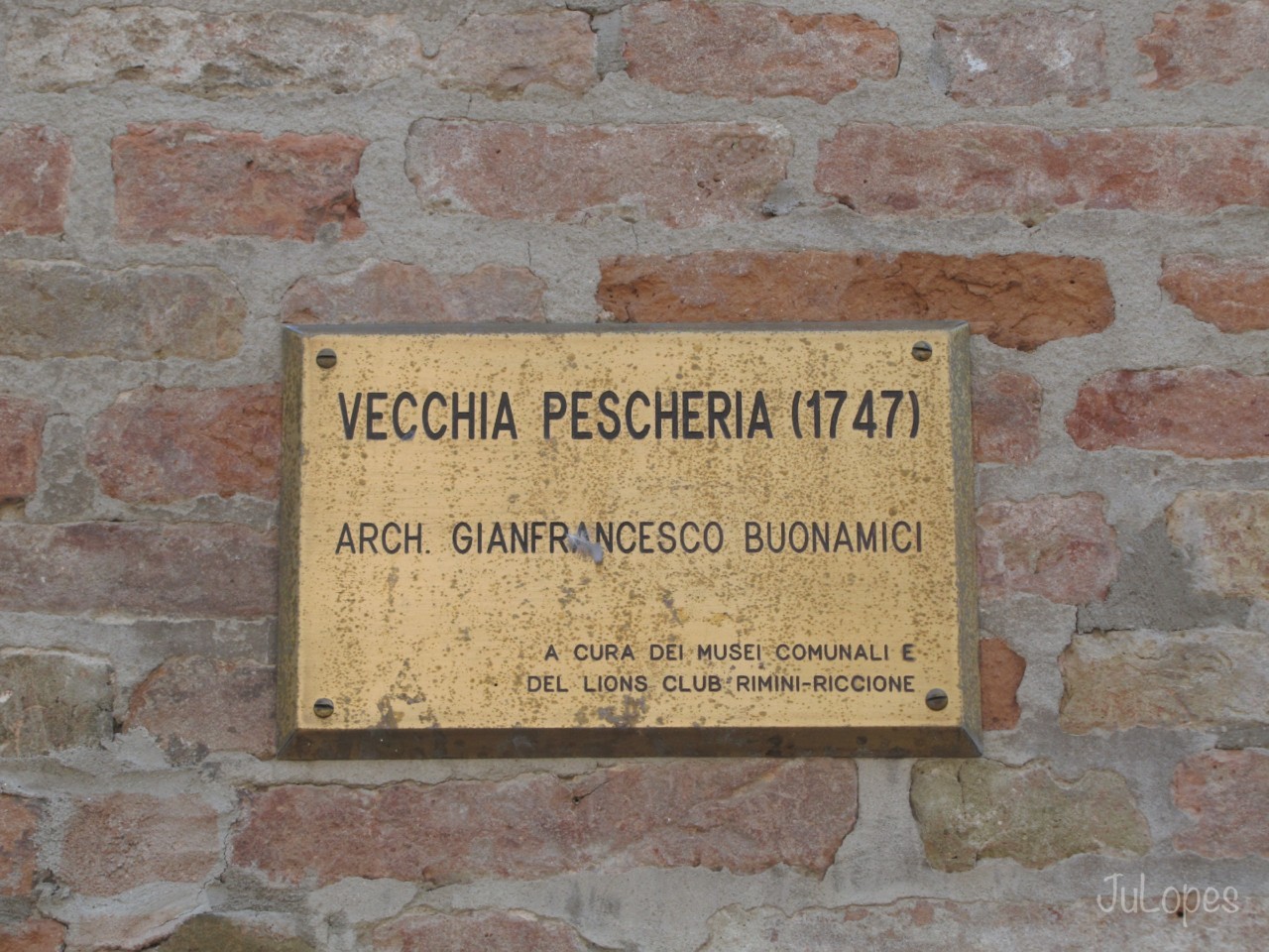 IMG_4479.jpg IMG_4479.jpg