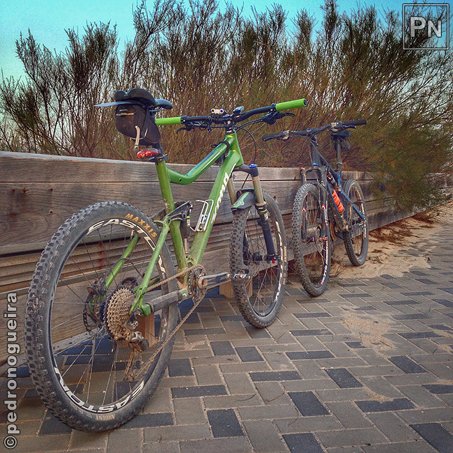 Out_2017_053a 650px.jpg